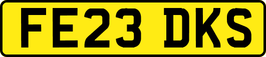 FE23DKS