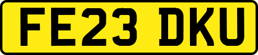 FE23DKU