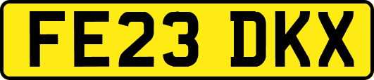 FE23DKX