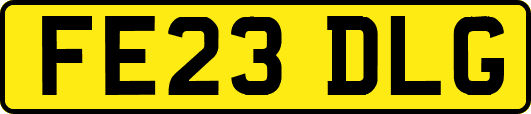 FE23DLG