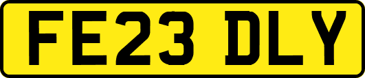 FE23DLY