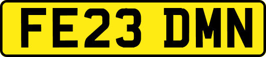 FE23DMN