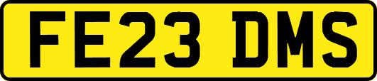 FE23DMS