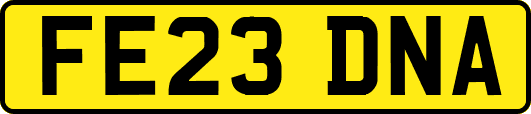 FE23DNA