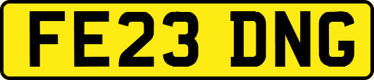 FE23DNG