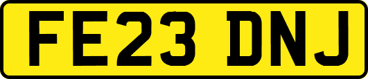 FE23DNJ