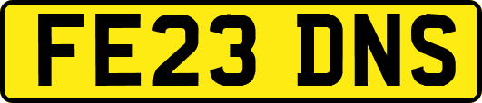 FE23DNS