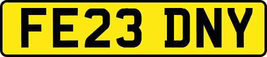 FE23DNY
