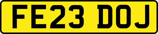 FE23DOJ