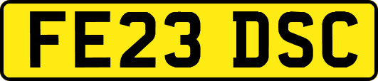 FE23DSC