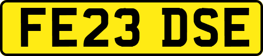 FE23DSE