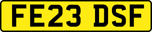 FE23DSF