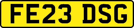 FE23DSG