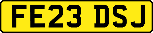 FE23DSJ
