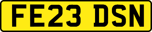 FE23DSN