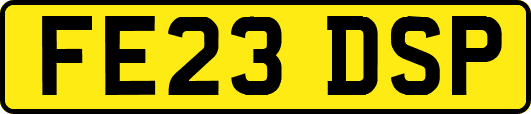 FE23DSP