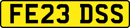 FE23DSS