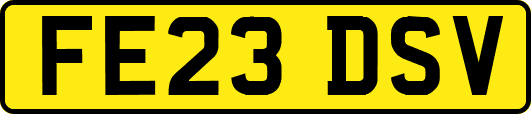 FE23DSV