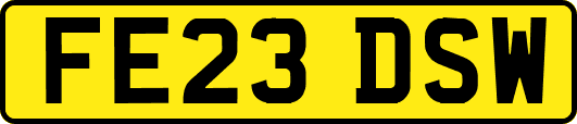FE23DSW