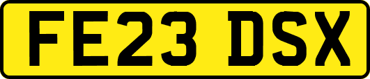 FE23DSX