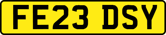 FE23DSY
