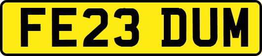 FE23DUM