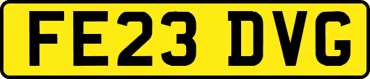 FE23DVG