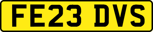FE23DVS