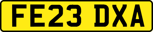FE23DXA