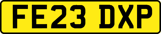 FE23DXP