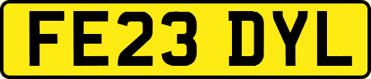 FE23DYL