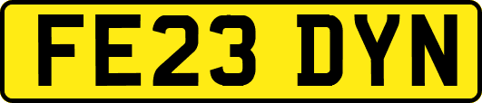 FE23DYN
