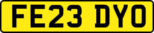 FE23DYO