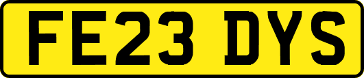 FE23DYS