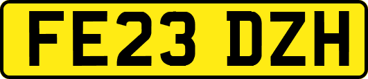 FE23DZH