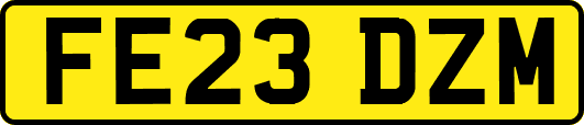 FE23DZM