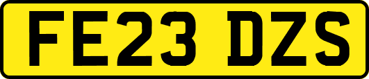 FE23DZS