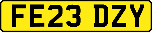 FE23DZY