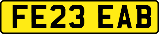 FE23EAB