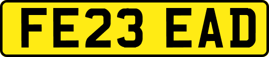 FE23EAD
