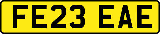 FE23EAE