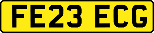 FE23ECG