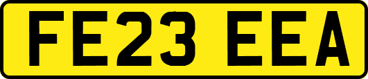 FE23EEA