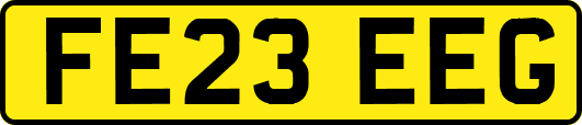 FE23EEG