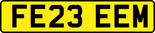 FE23EEM