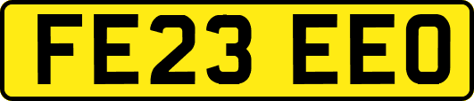 FE23EEO