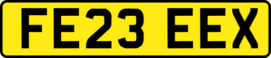 FE23EEX
