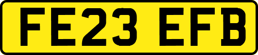 FE23EFB