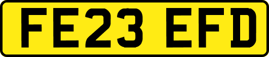 FE23EFD