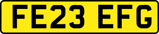 FE23EFG